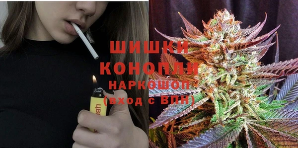 дурь Надым
