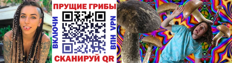 Галлюциногенные грибы MAGIC MUSHROOMS  где купить наркоту  Оса 